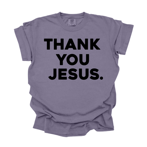 Thank You Jesus - Adult T-shirt/Comfort Colors